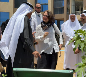 IMG 6993 edited 360x320