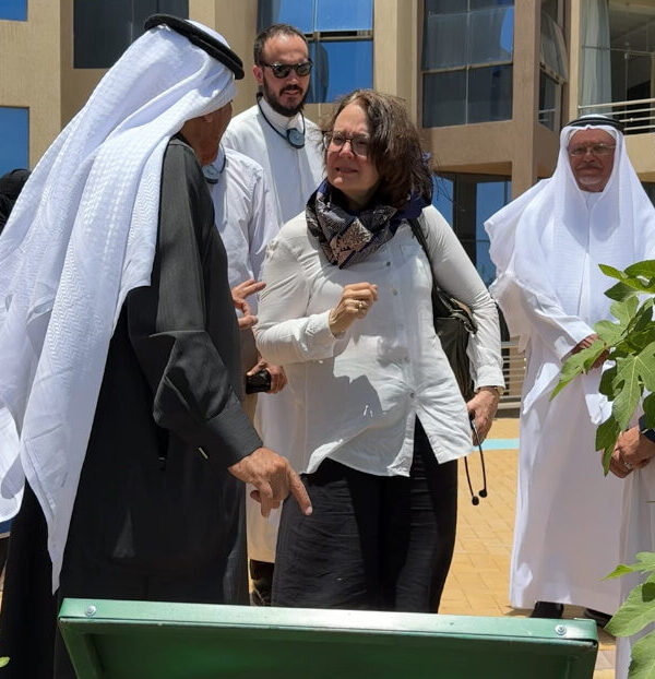 IMG 6993 edited 600x622